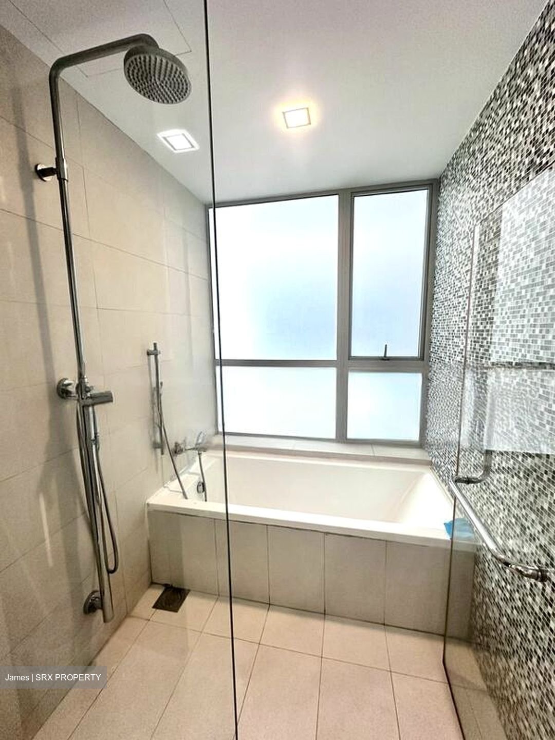 The Rochester Residences (D5), Apartment #457565741
